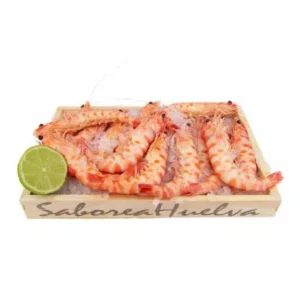 Langostino tigre